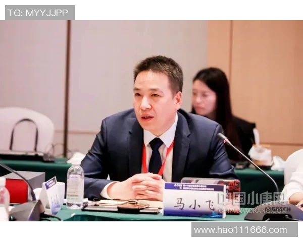 北京街舞队的包夹革新探索与发展新趋势的深度分析与实践分享MBA