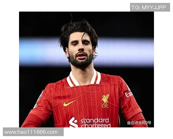 探秘索博斯洛伊的历史与文化遗产,感受其独特魅力与现代发展之路