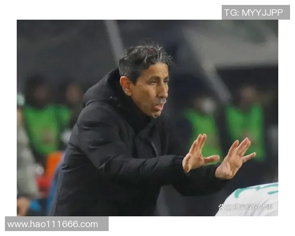 泰国与巴勒斯坦足球友谊赛前瞻分析及最新动态报道