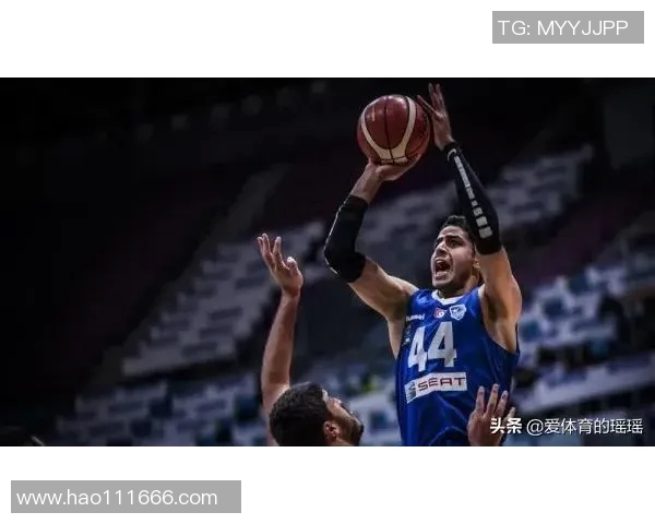 突尼斯与苏丹比赛前瞻及比分预测分析，谁将赢得胜利